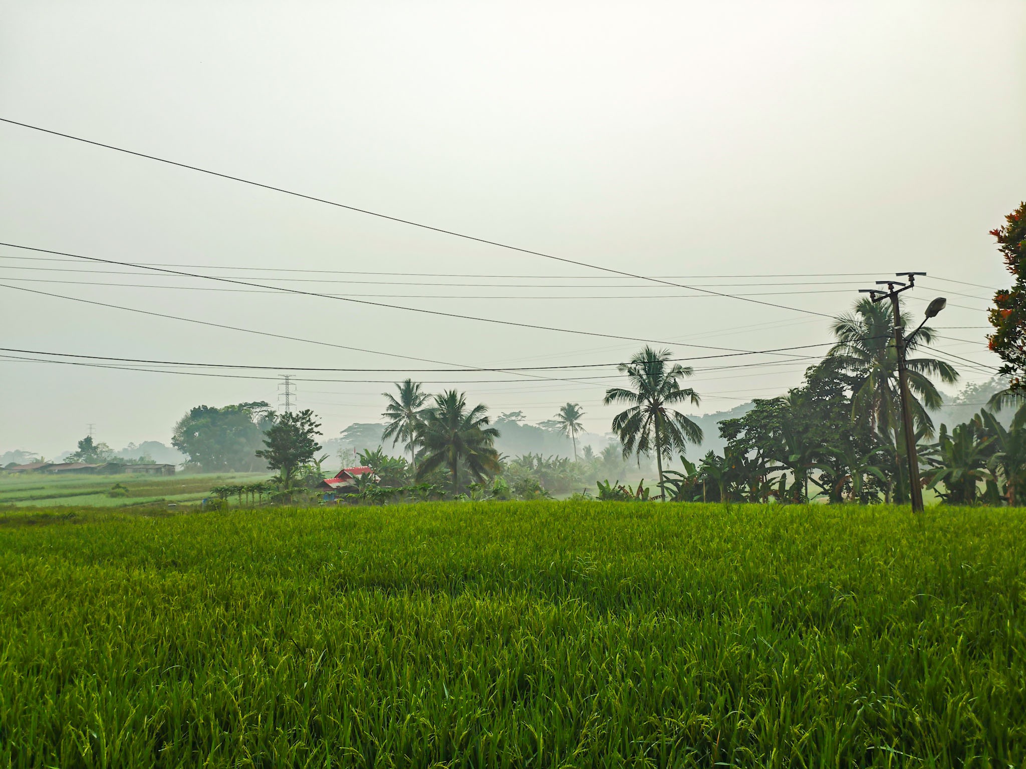 Pemandangan Desa